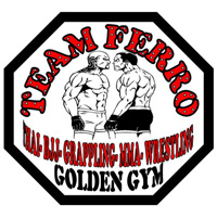 Team Ferro
